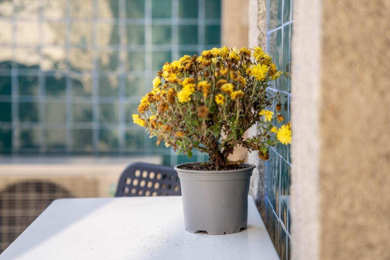 Joao IV Jewel Retreat By Lovelystay Porto Eksteriør billede